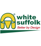 Australian White Suffolk Association