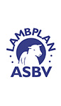 Lambplan ASBV
